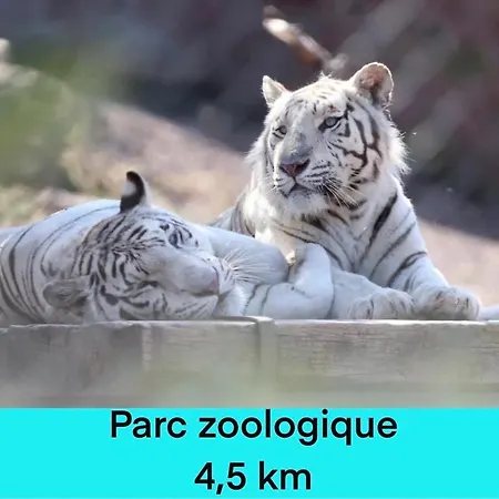 Апартаменты Studio, Un Petit Paradis Entre Terre Et Mer